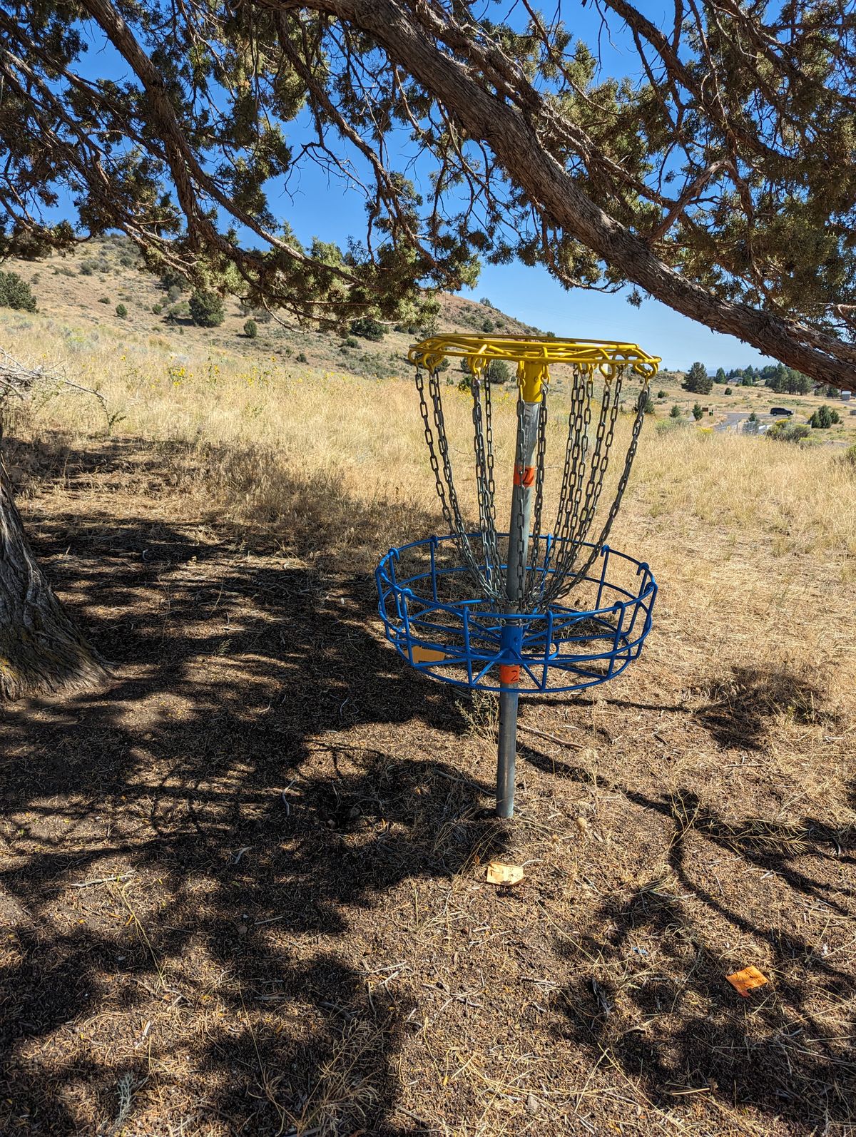 Tree guarding the basket