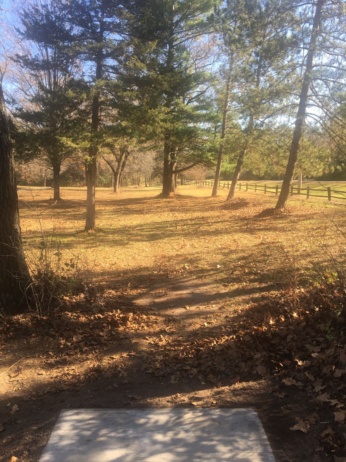 Hole 5