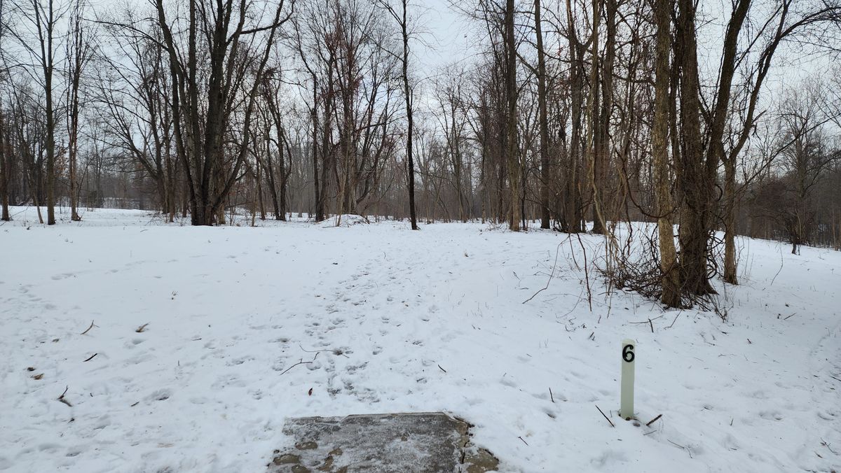 Hole 6, January 2025