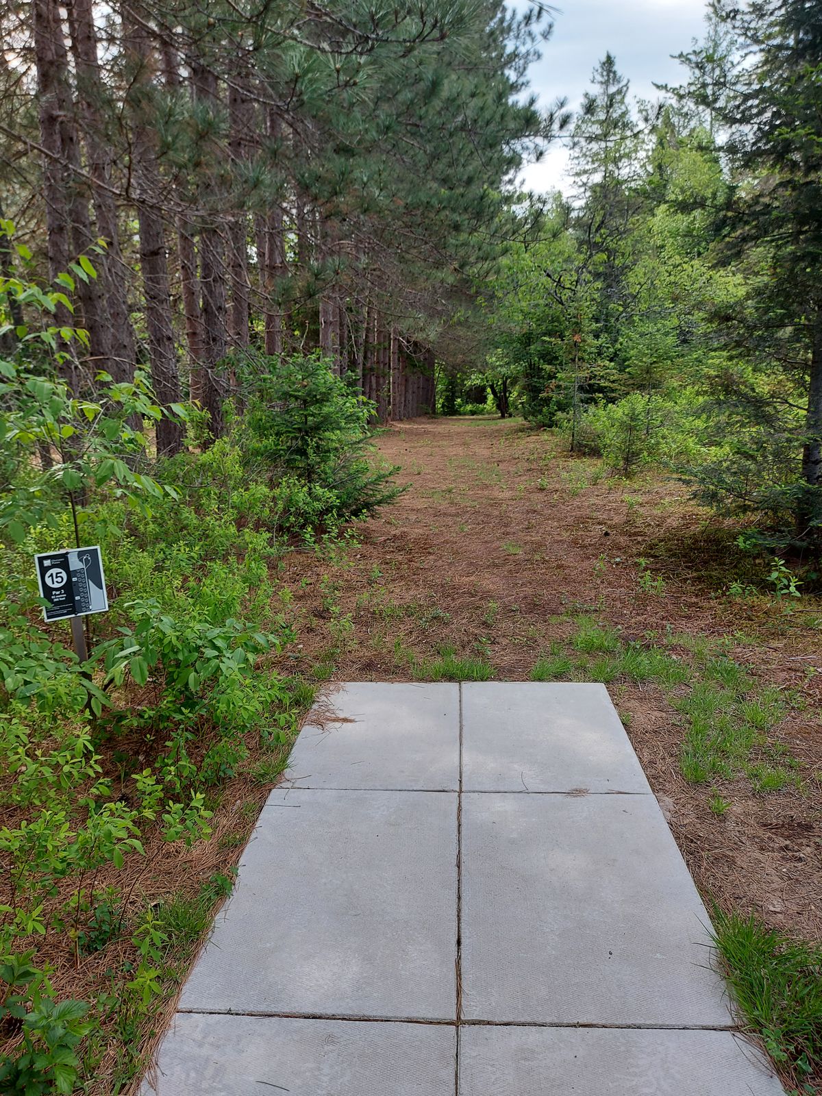 Tee pad 15.🍁🌲🍁🌲🍁🌲