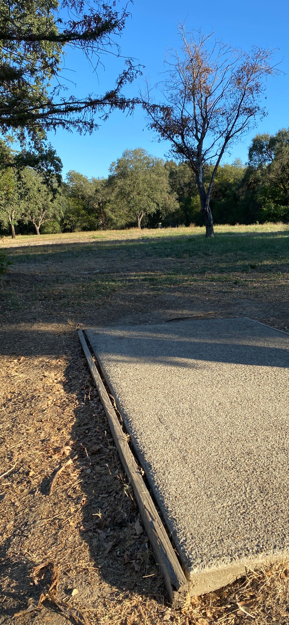 Holes 6/16 tee pad view