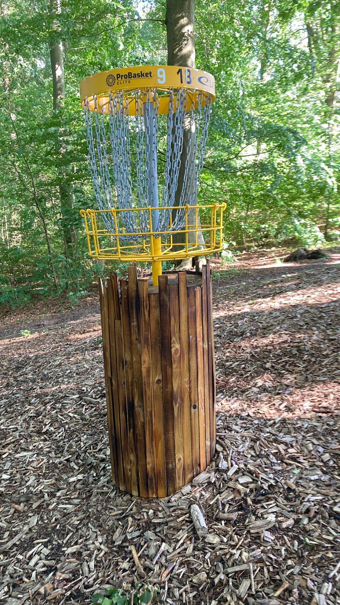 Korg 18skog