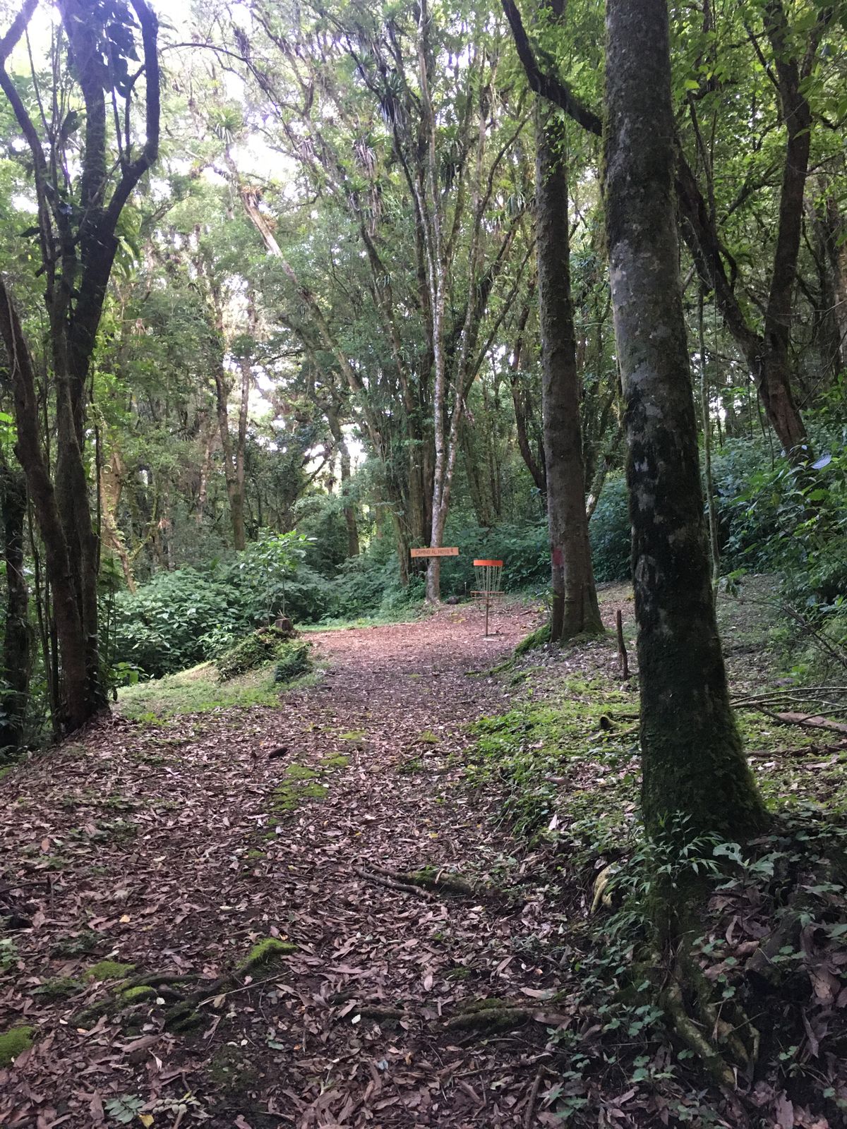 Hole 3 Fairway