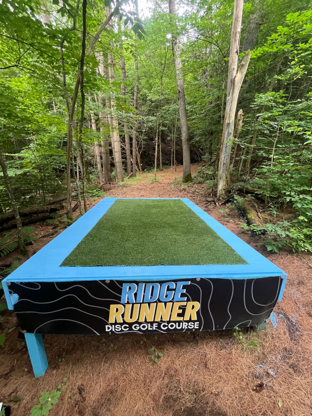 Hole 2 tee pad