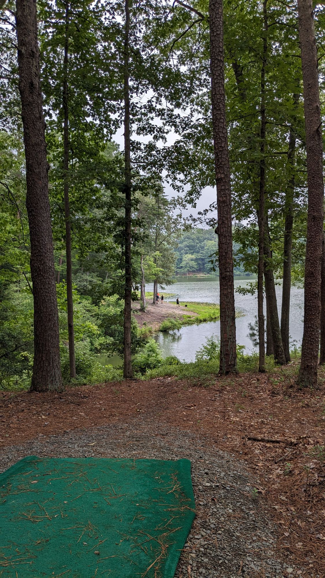 hole 15 long ter