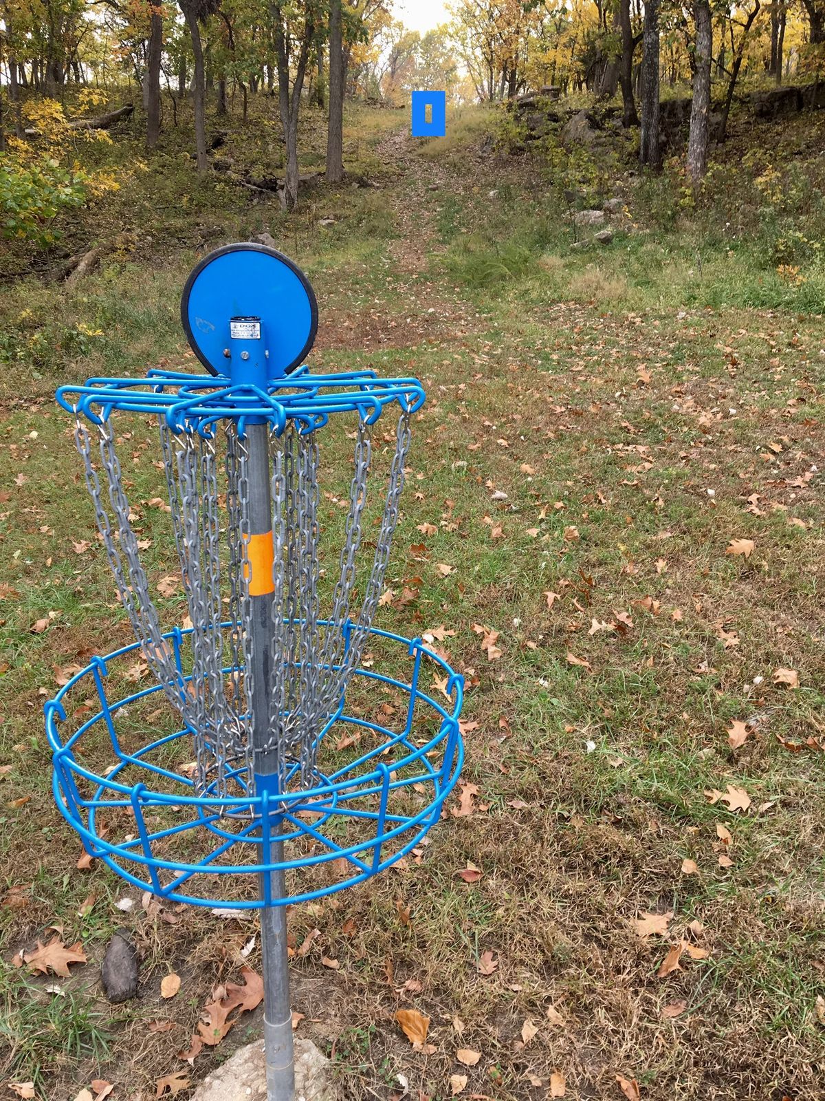 Hole 5 Basket to Tee (Short)
