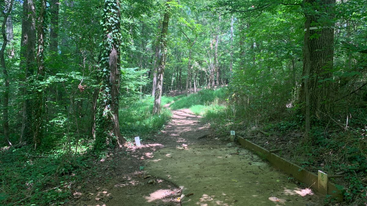 Hole 8