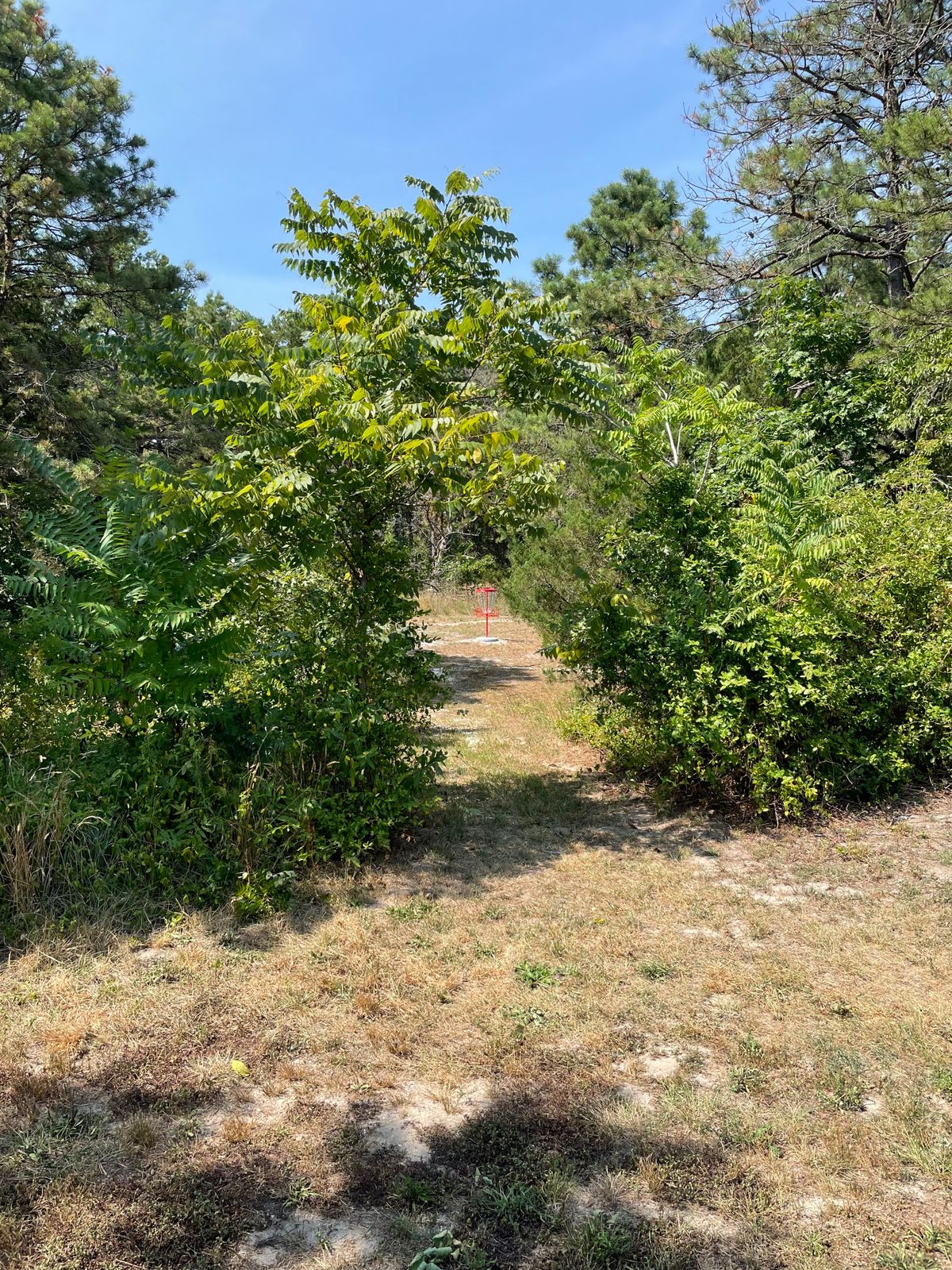 Hole 12