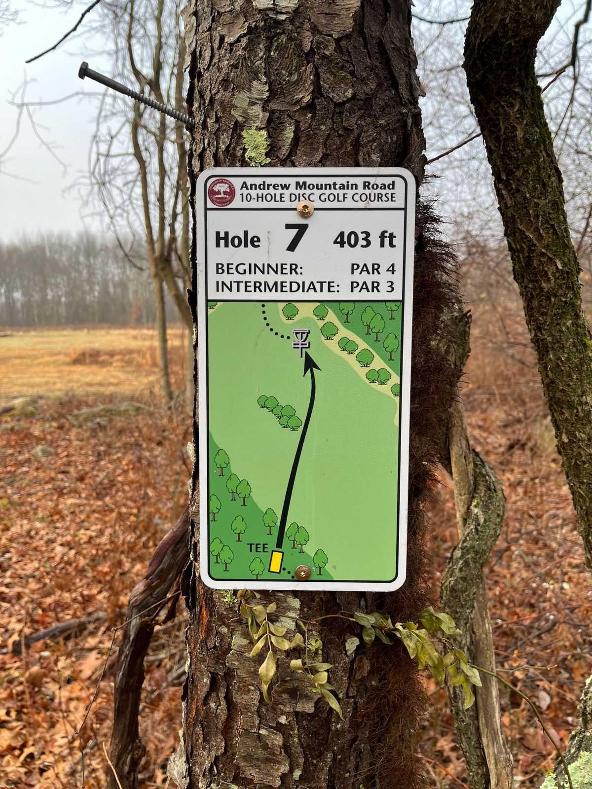 Hole 7