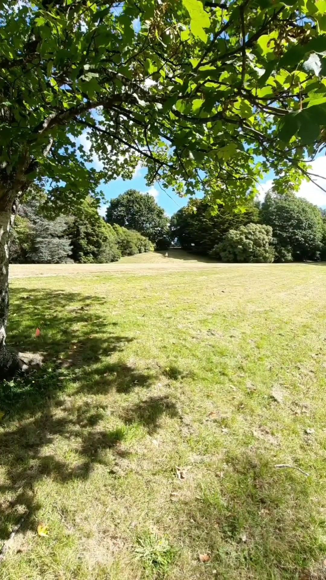 Hole 4 tee