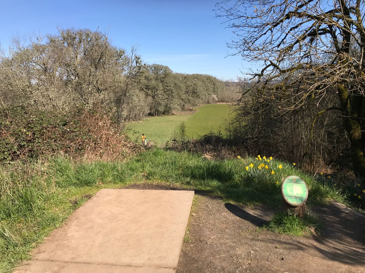 View from Hole 4 with OB to the right
