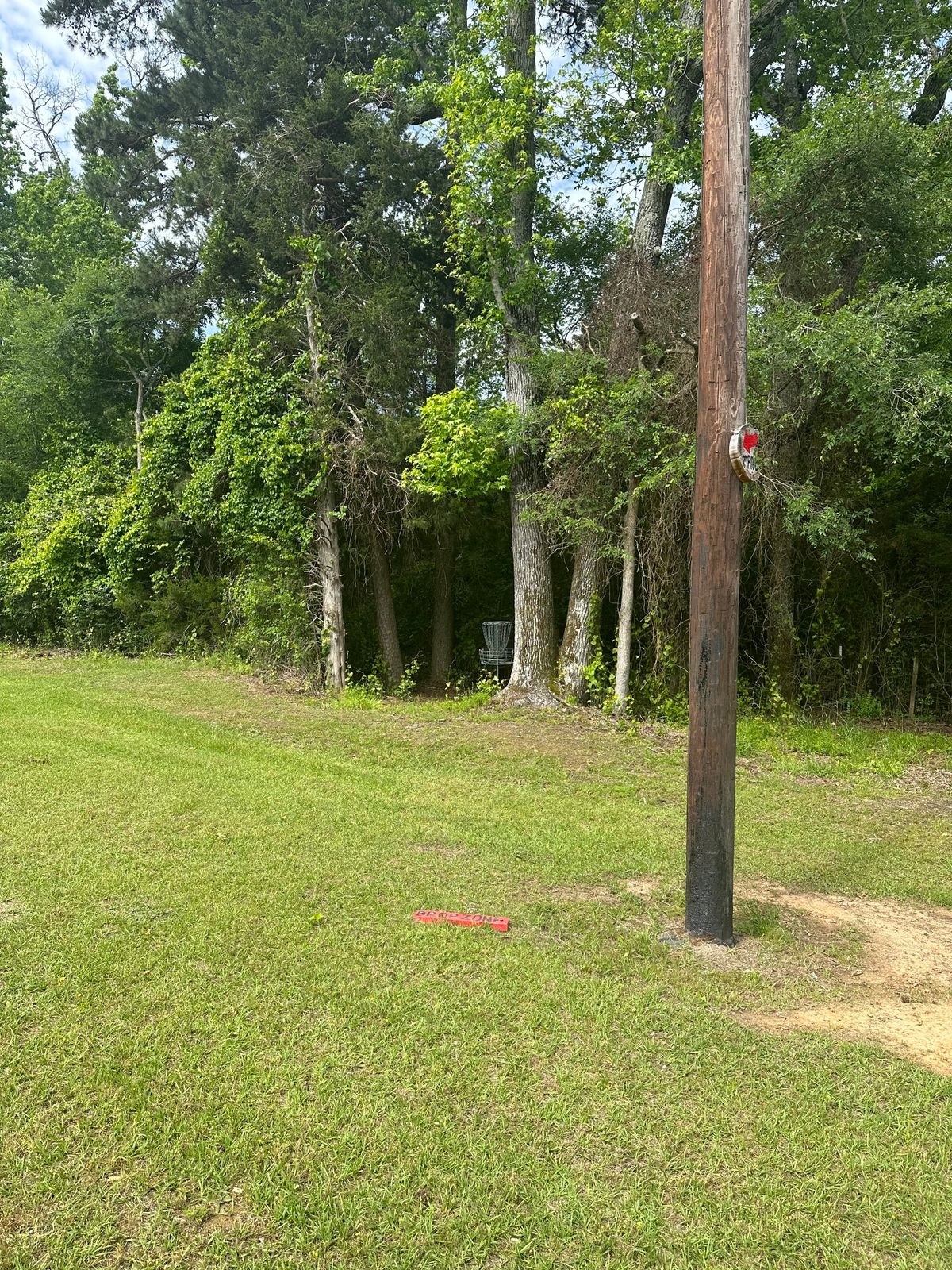 Hole 8 basket Mando left of pole 