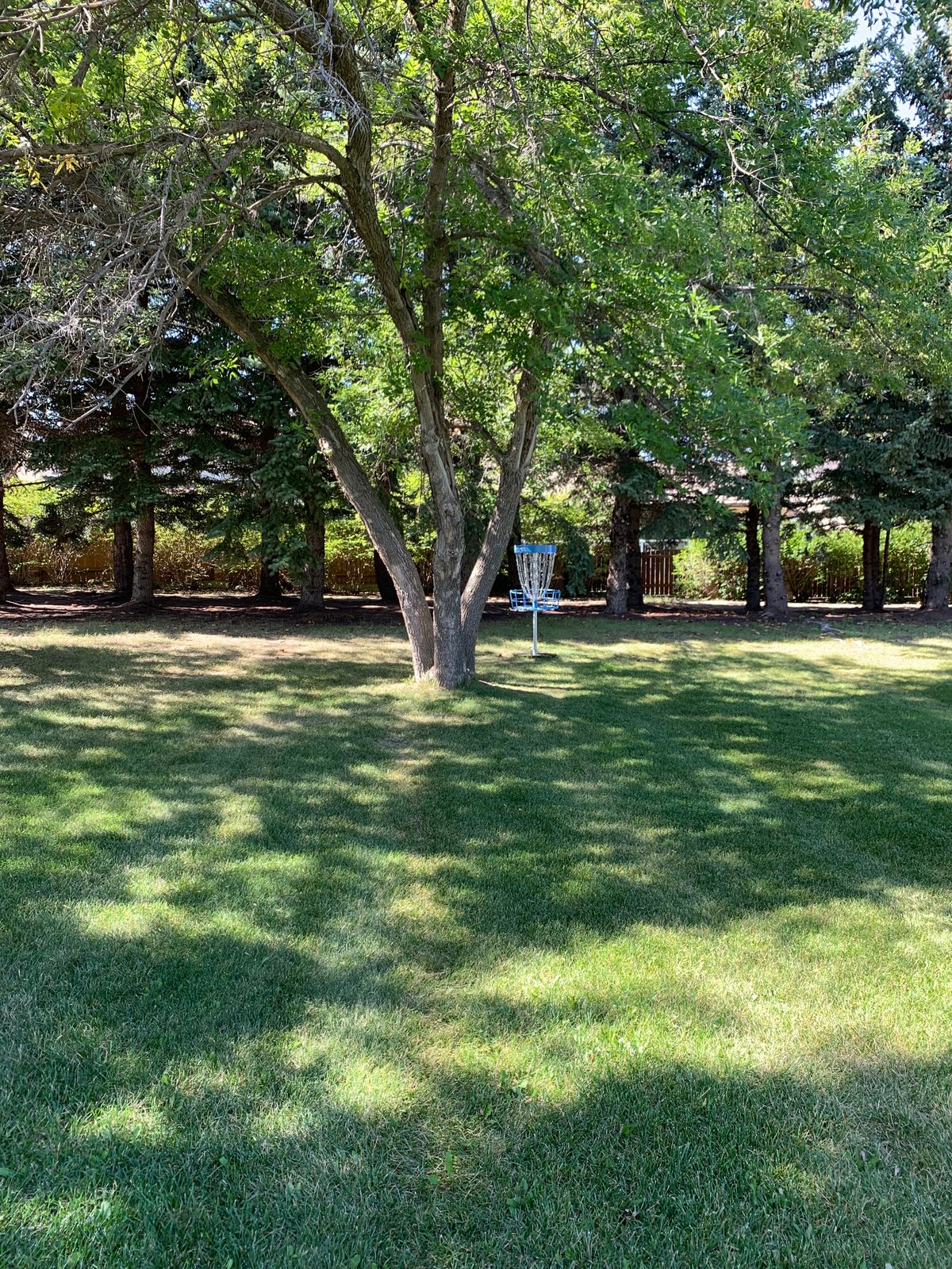 Hole 4 basket