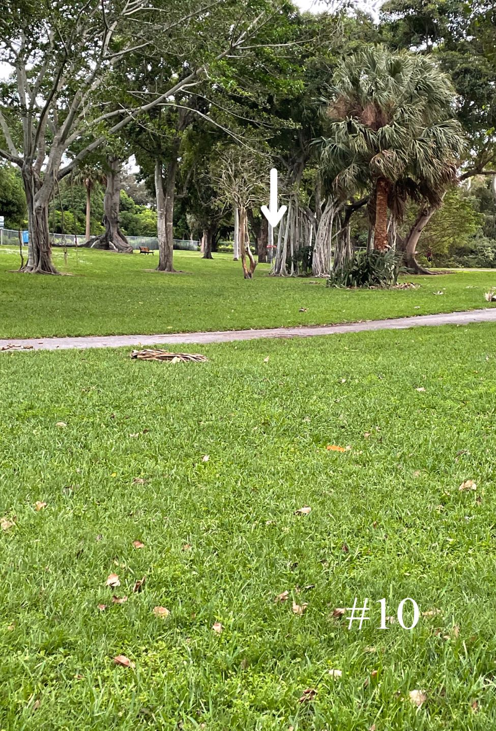 Hole 10, Short Tee