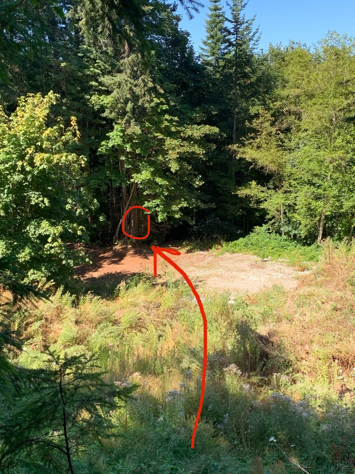Hole 8: Cliff Par