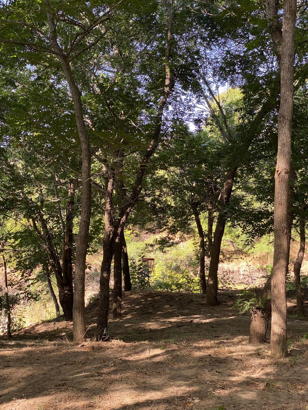 Hole 5’s basket. Don’t go long.