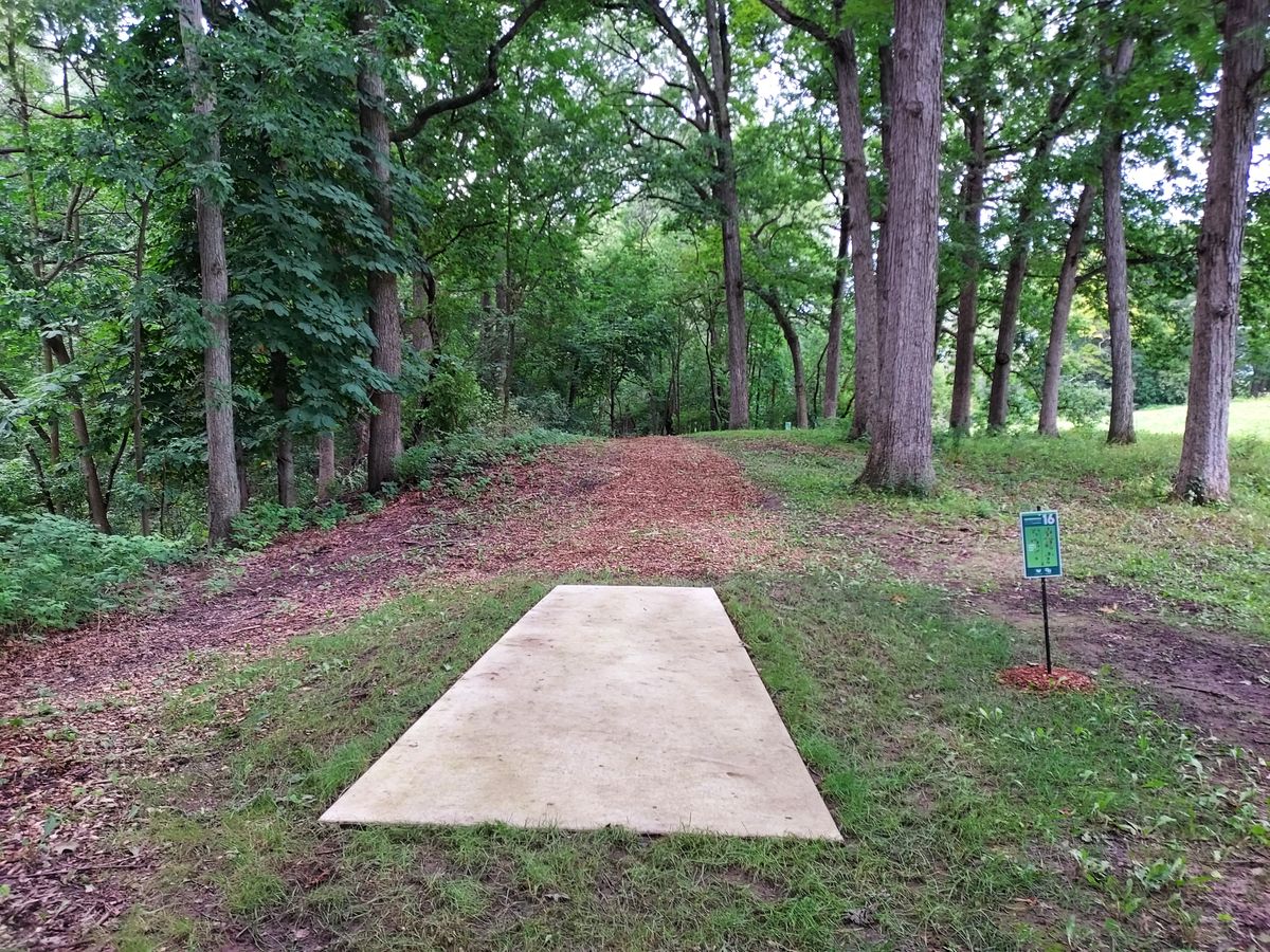 16 long tee