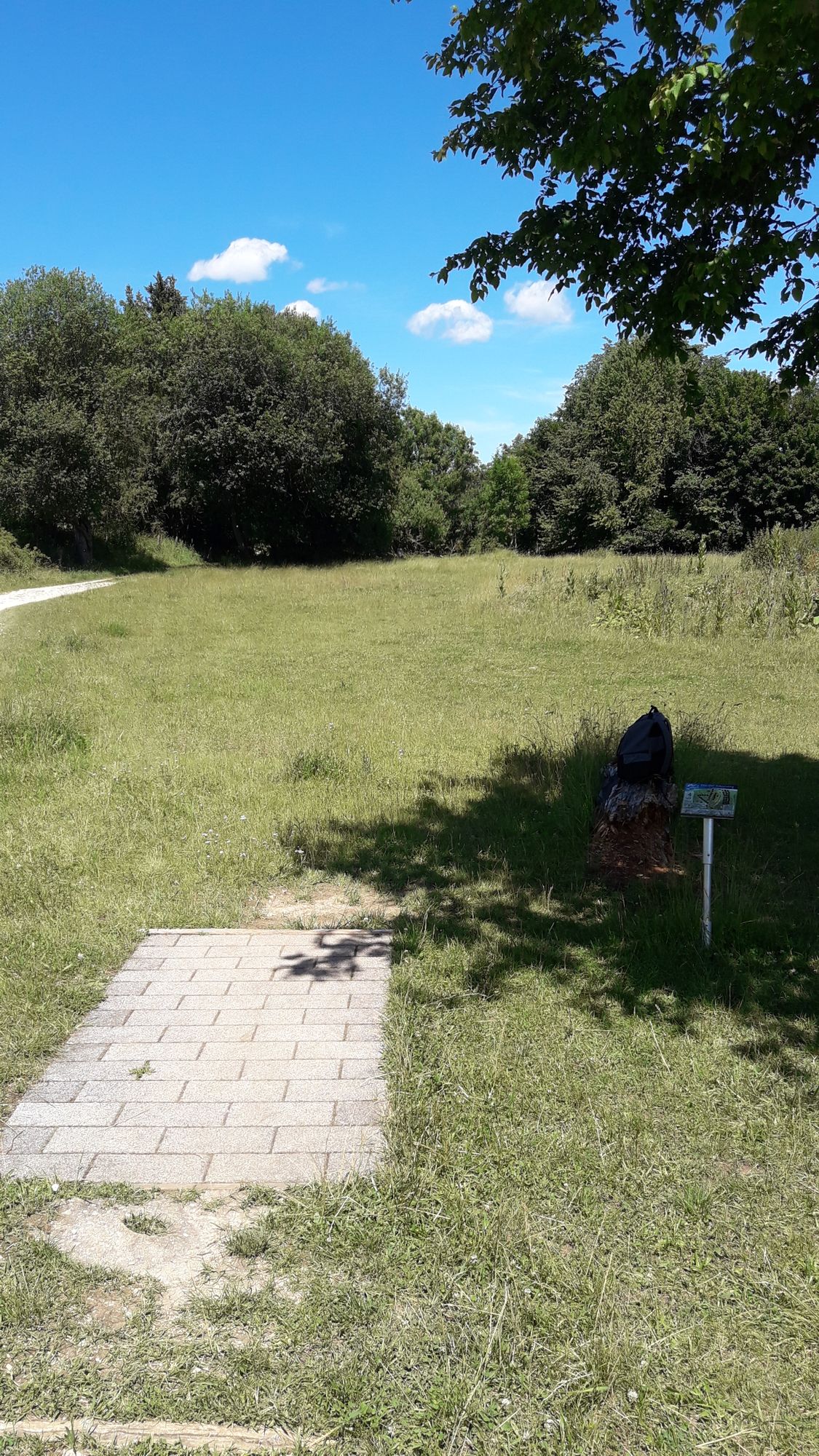 Hole 4 - beware of the steep slope on the right (with stinging nettles), if the disc goes down one can search forever!