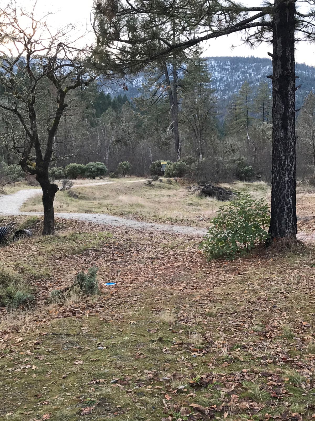 Fairway looking @ basket 8- right side of  path is another seasonal pond/wetlands to navigate over