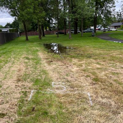 Hole 5 tee pad