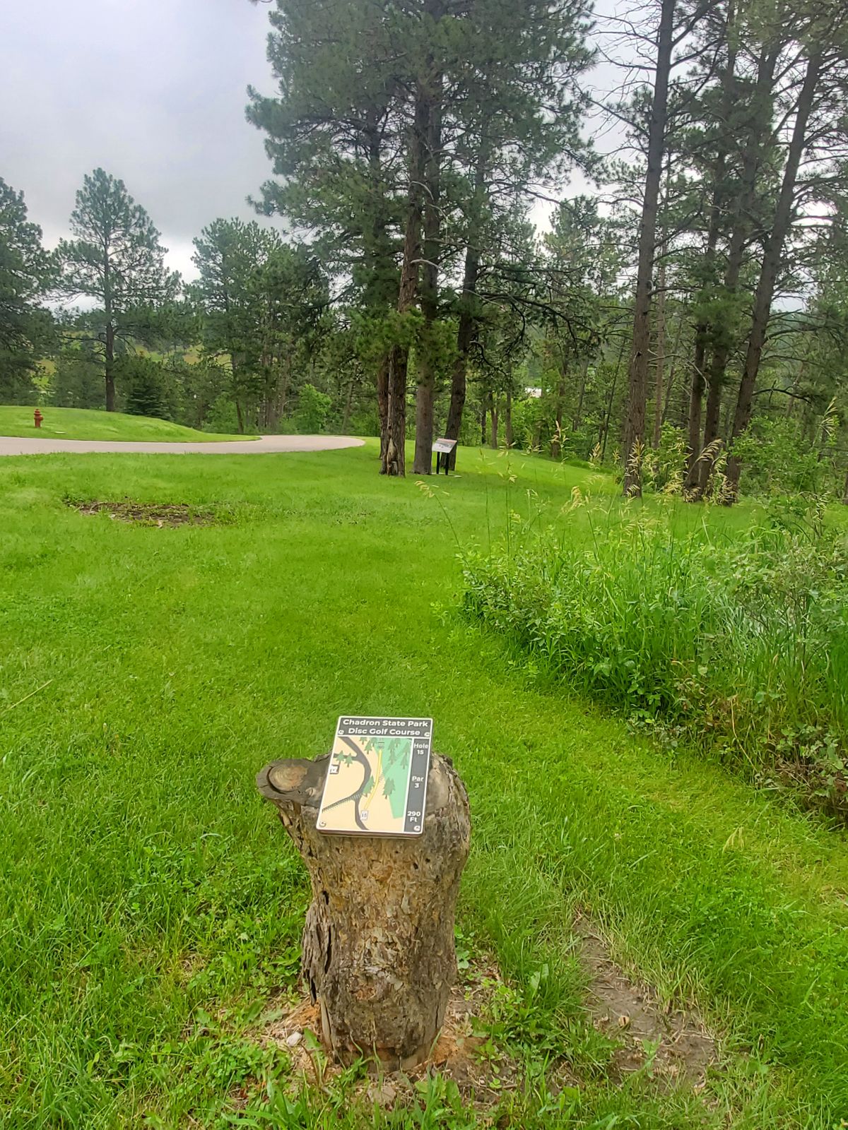 Hole 15