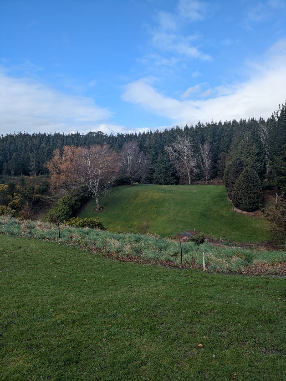 Hole 1 - photo from tee. Basket to the left of golf green.