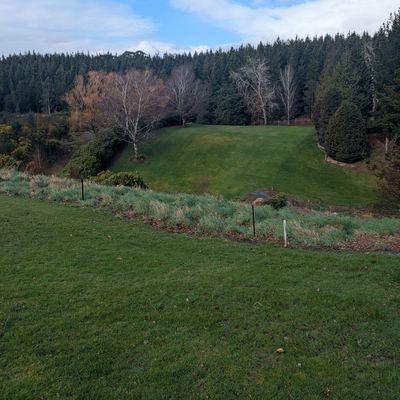 Hole 1 - photo from tee. Basket to the left of golf green.