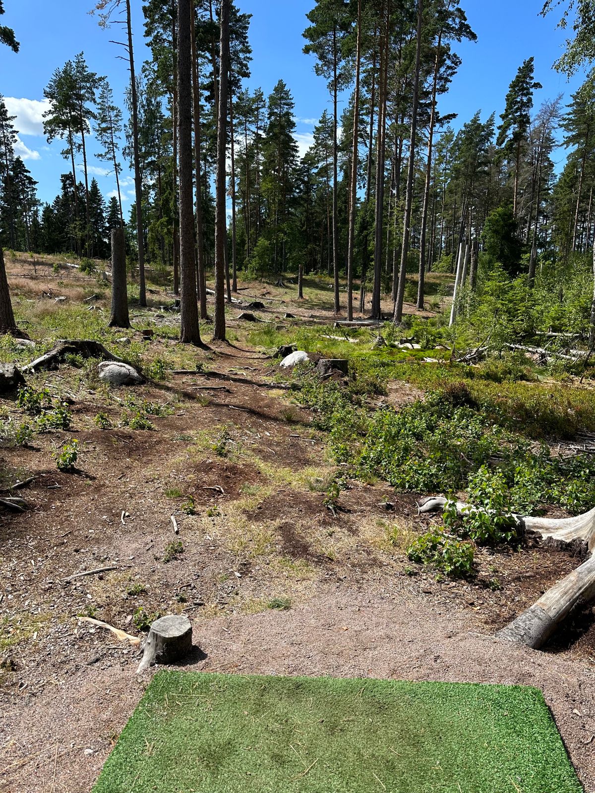 Hål 5