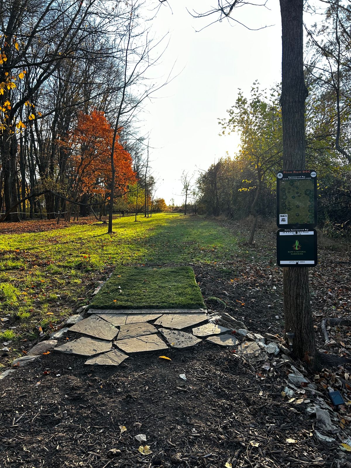 Hole 6