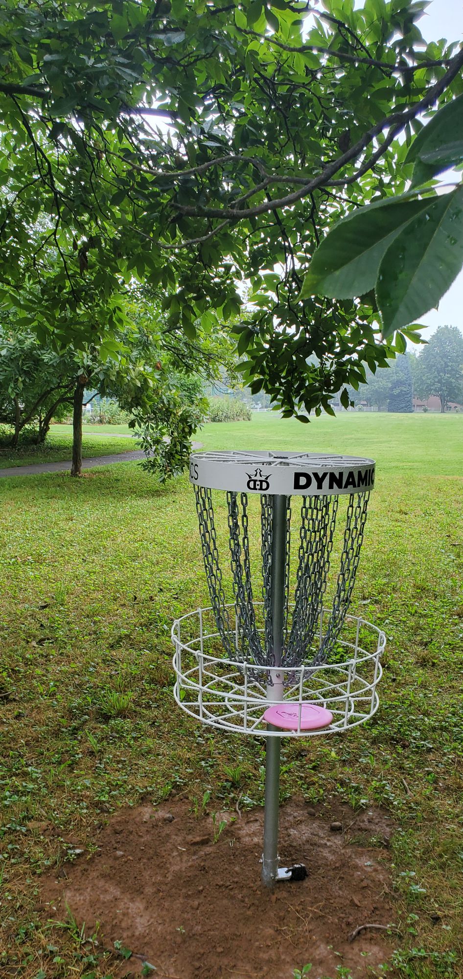 Hole 1 basket to tee