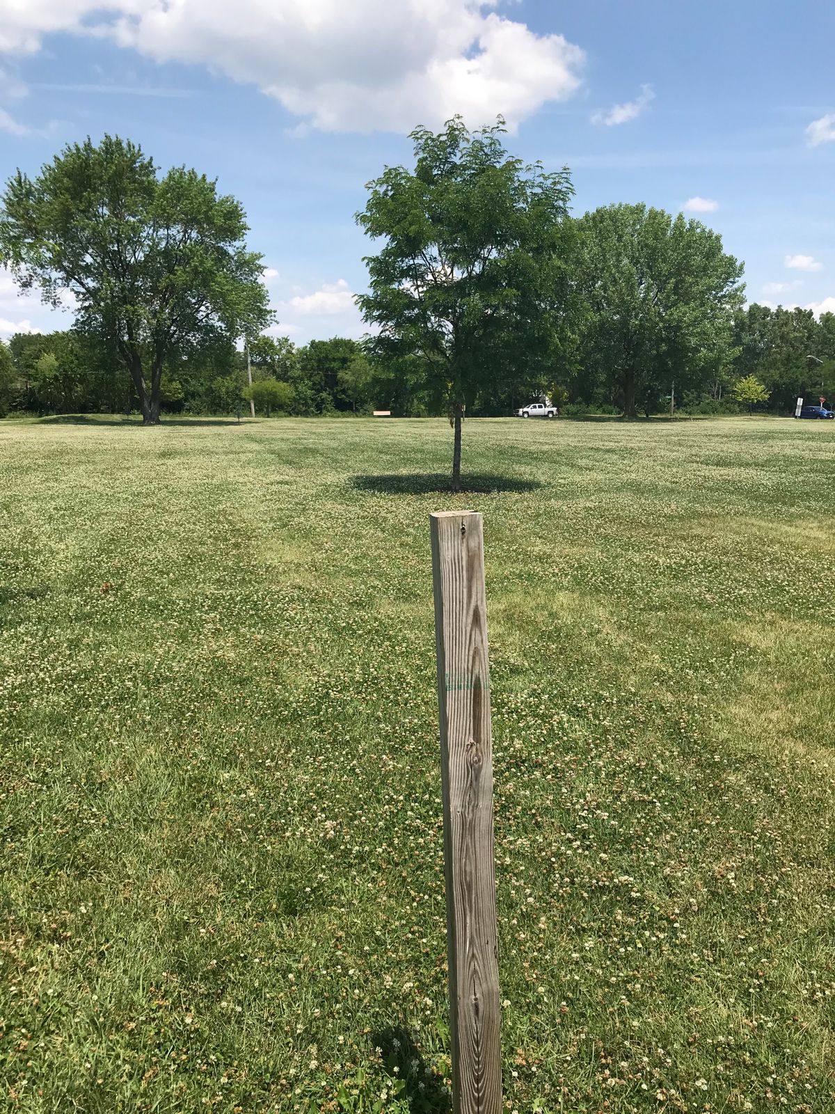 Hole 4