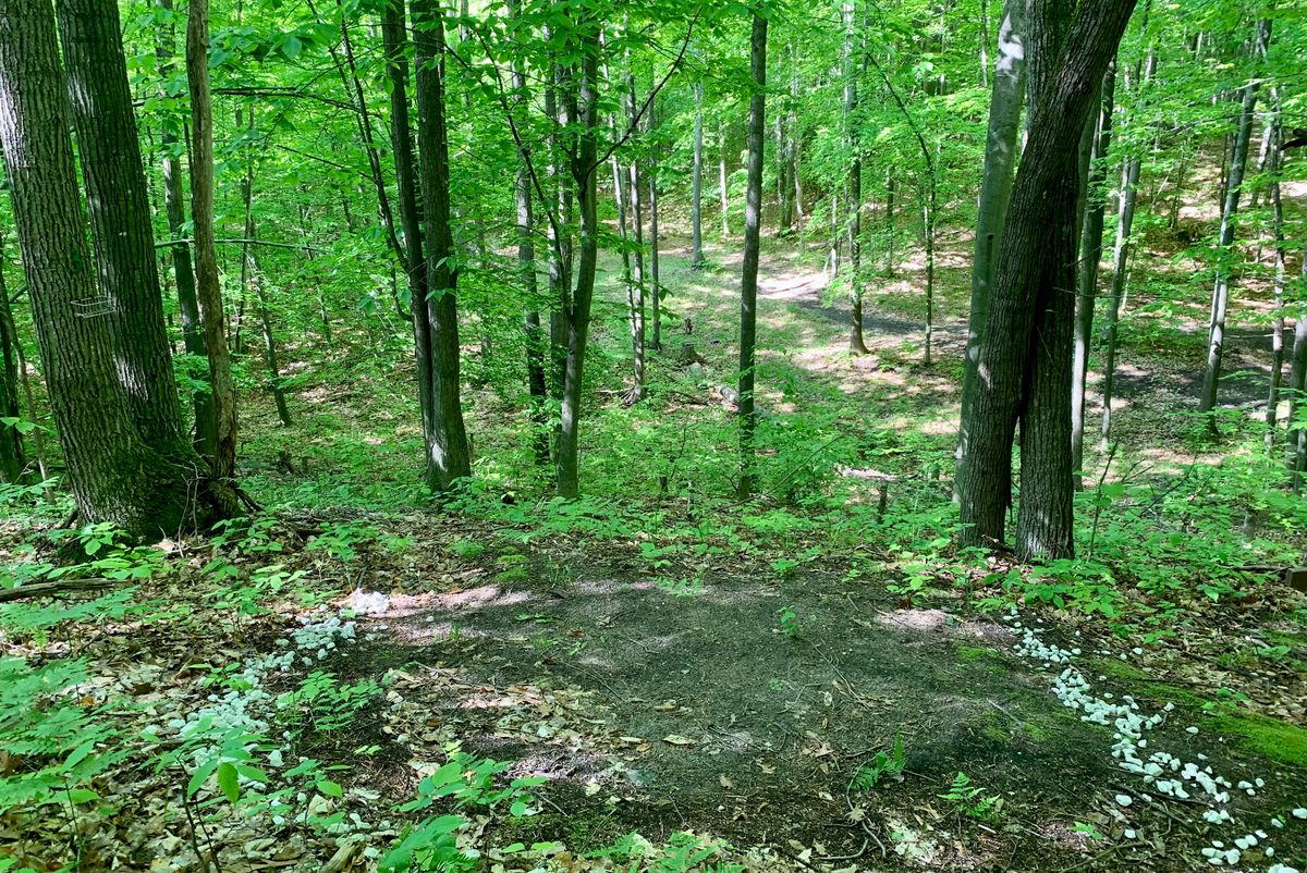 Hole 3