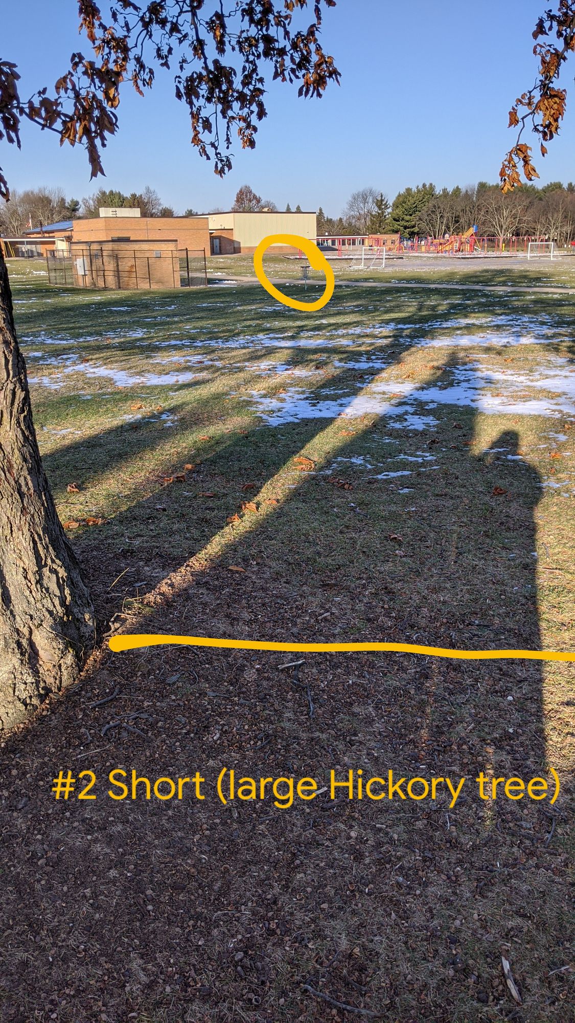 #2 Short Tee - Right side of large Hickory tree to basket by pump house.