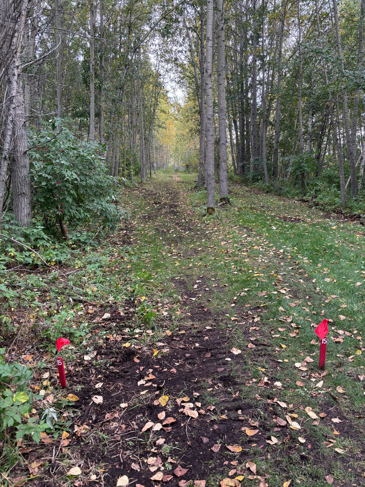 Hole 15 Reds