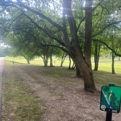Hole 5