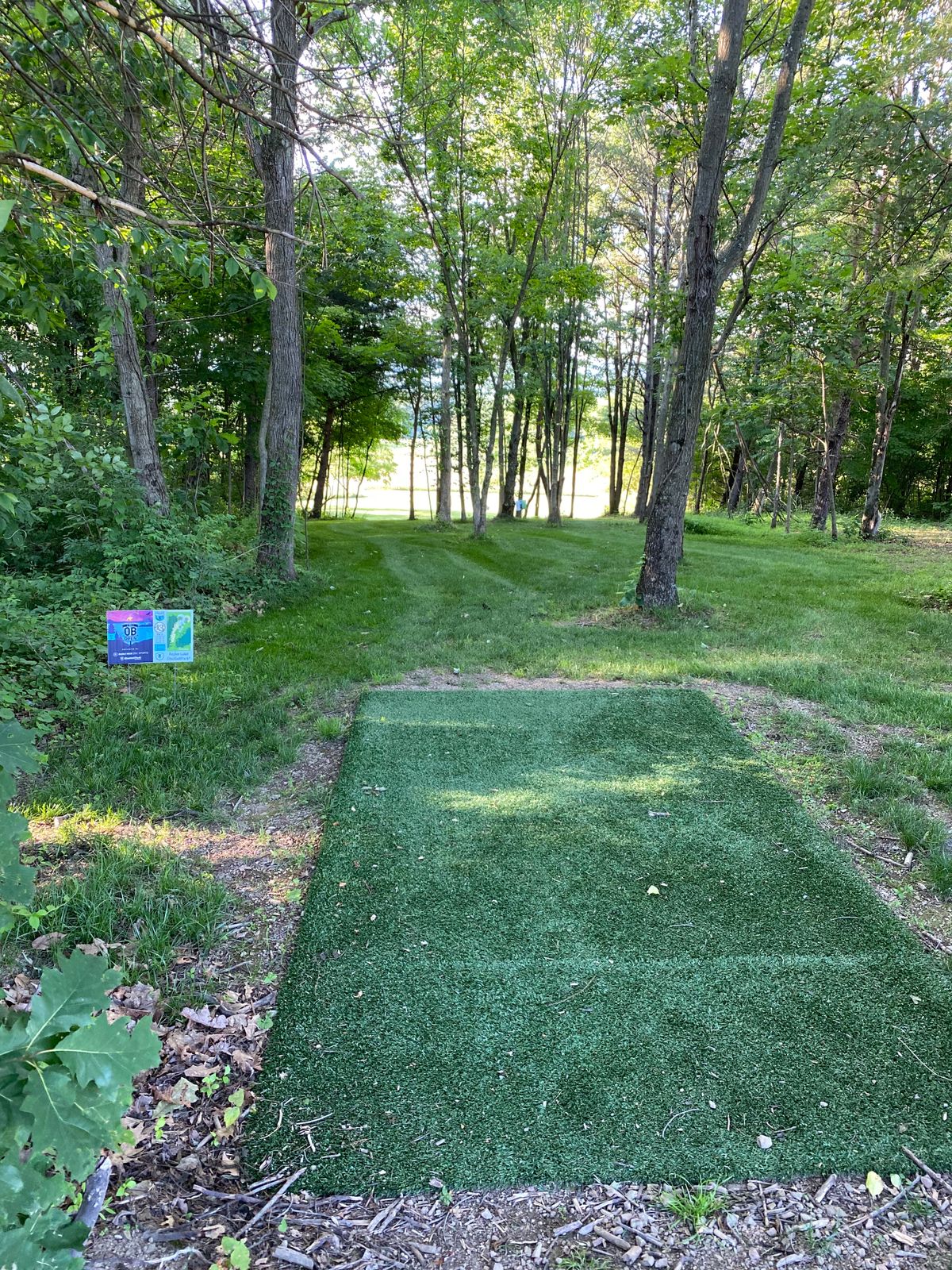 Hole 13 gold tee
