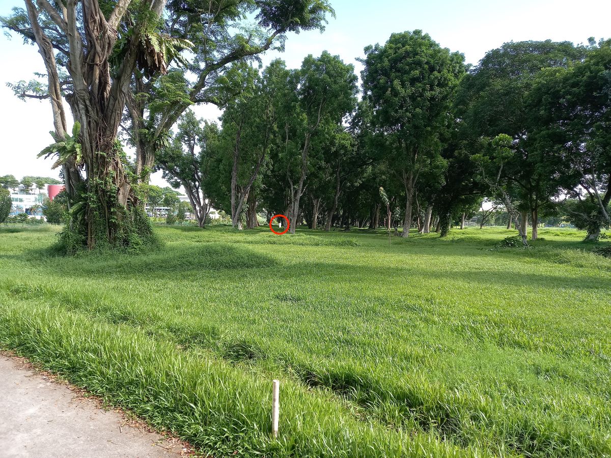 Hole 1