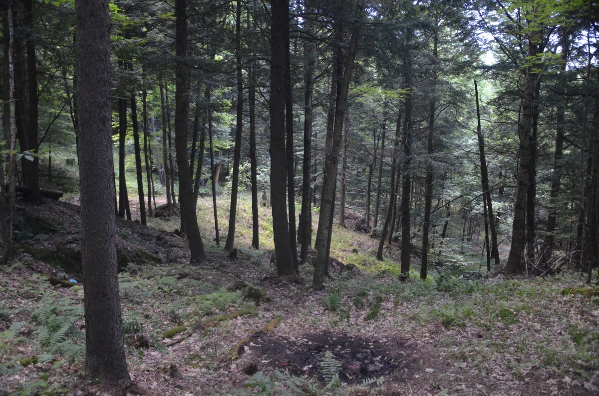 Hole 3 left and right approach.