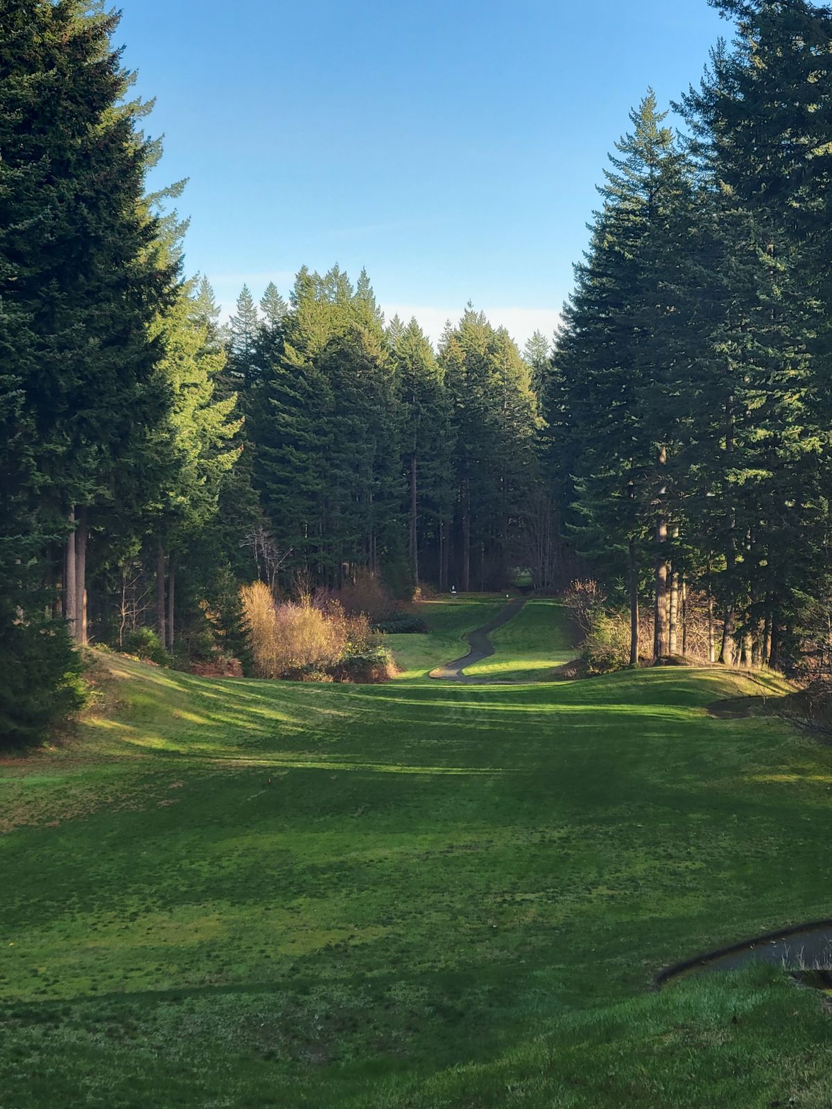 Beautiful course. Teepads would be a great addition along with better signage. Back 9 is very very hard. Not for the faint of heart.