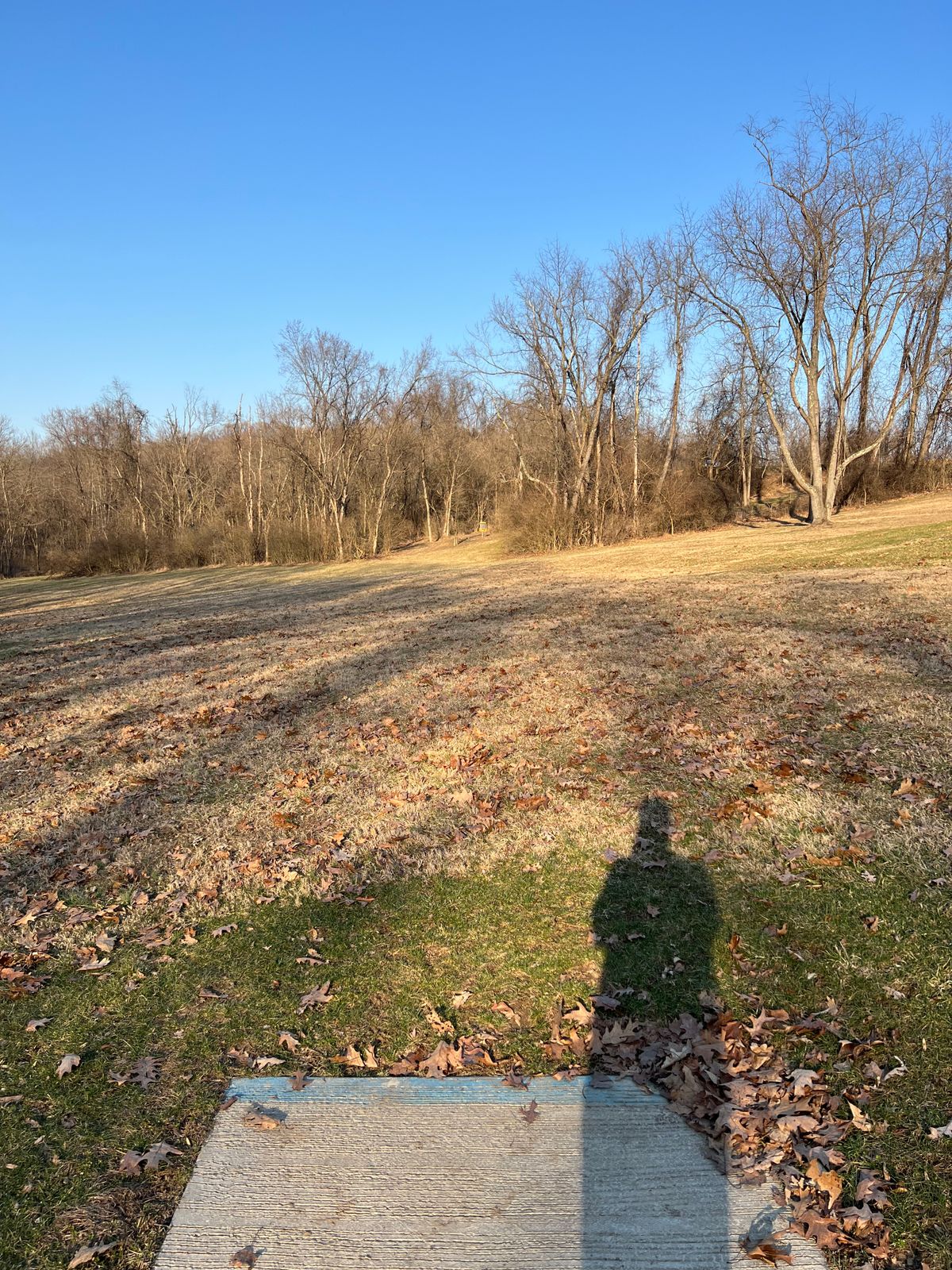 Hole 11 - Blues