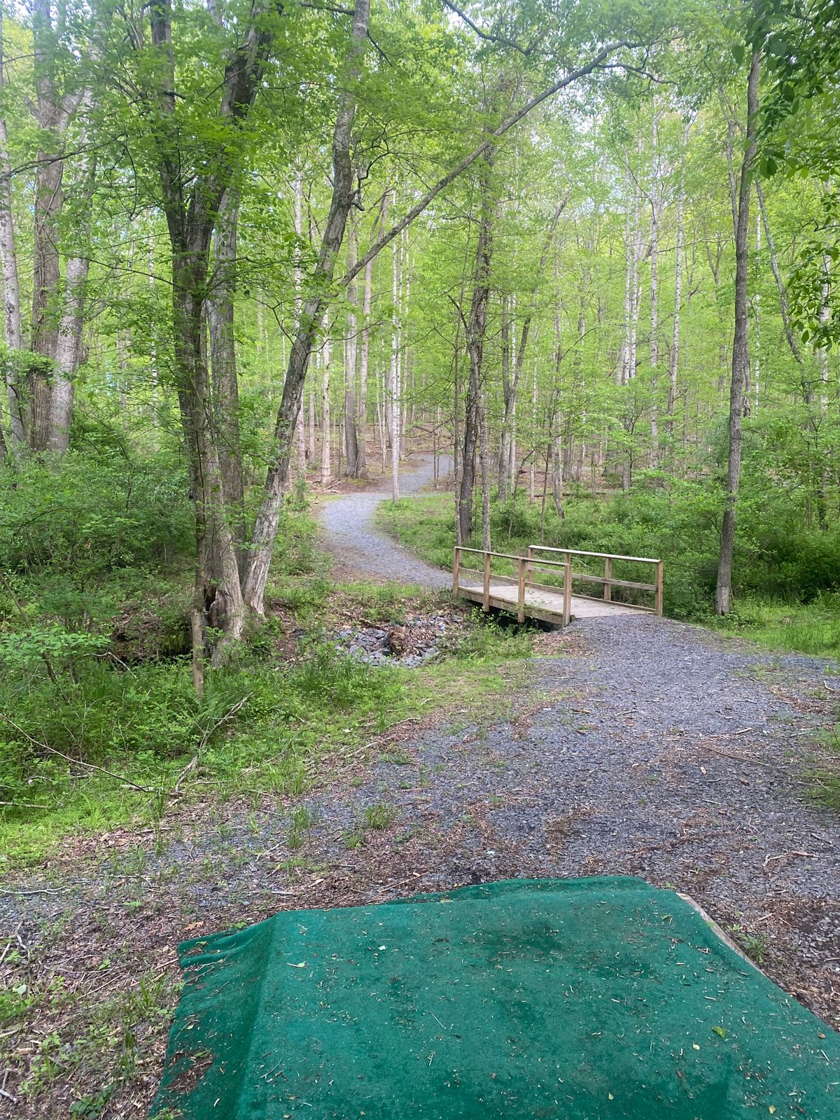 Hole 7 tee pas