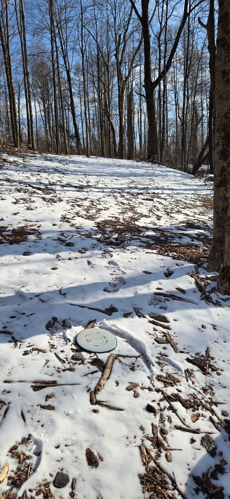 Hole 3 approaching basket up hill
