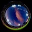 User avatar image