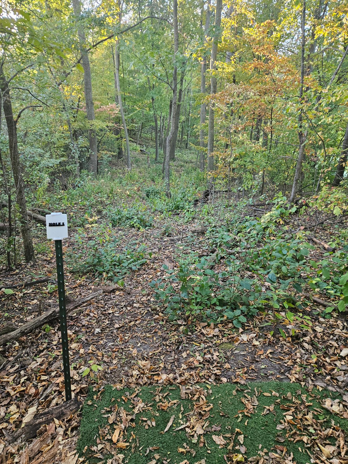 Hole 1
