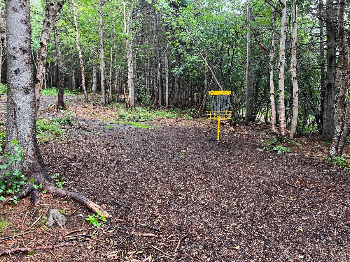 Hole 16 Basket