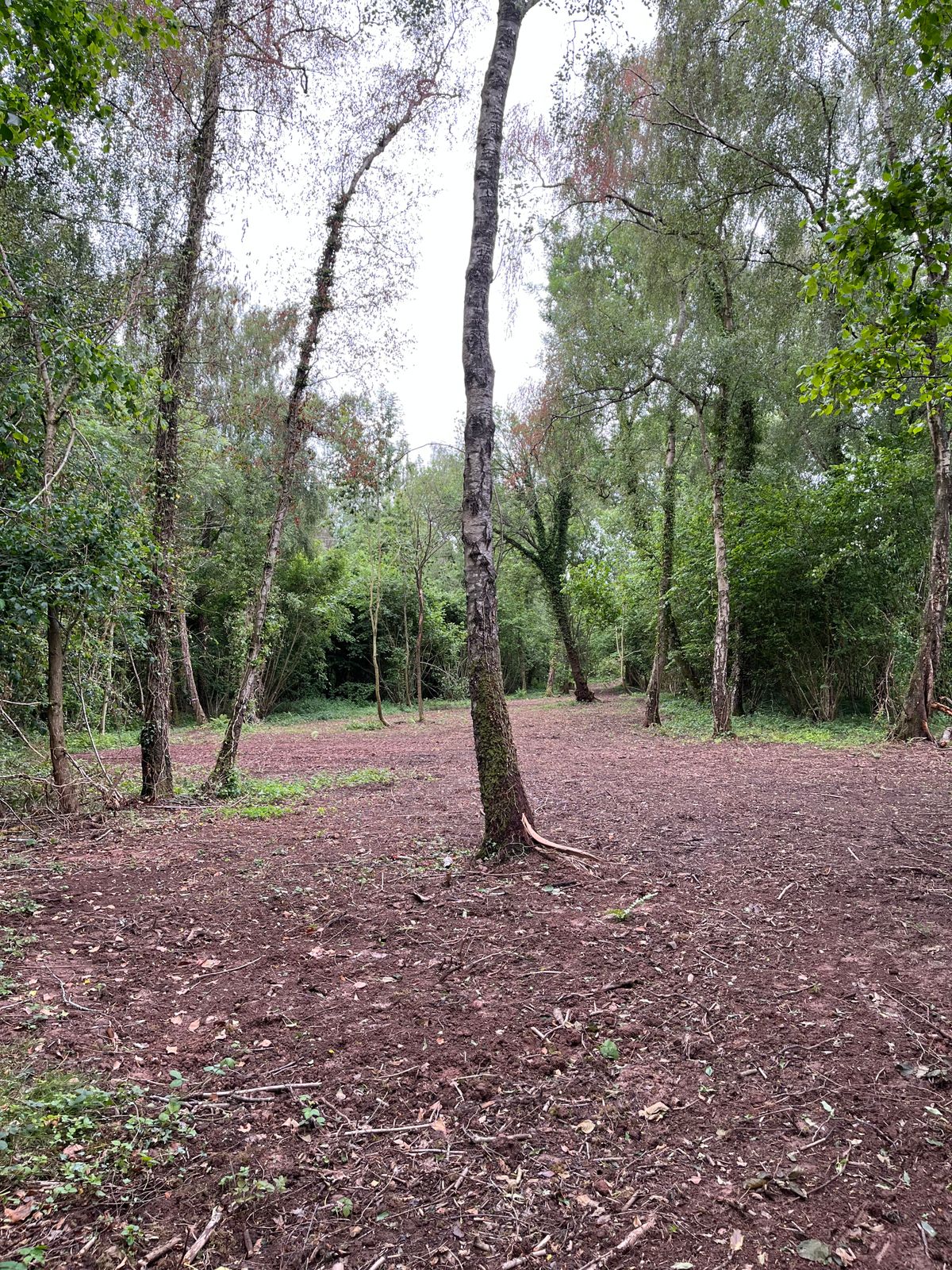 Hole 8 mid fairway looking back to landing zone