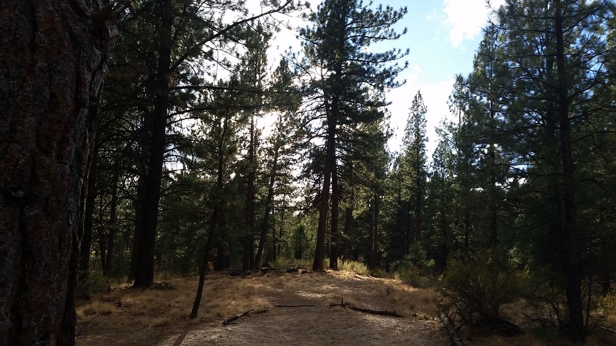 This is a look at hole 10 from the tee pad.