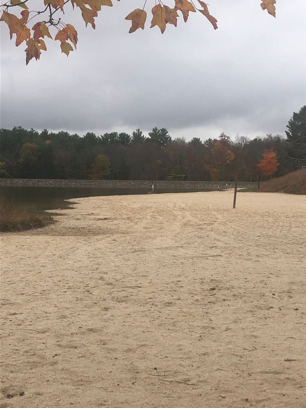 The beach