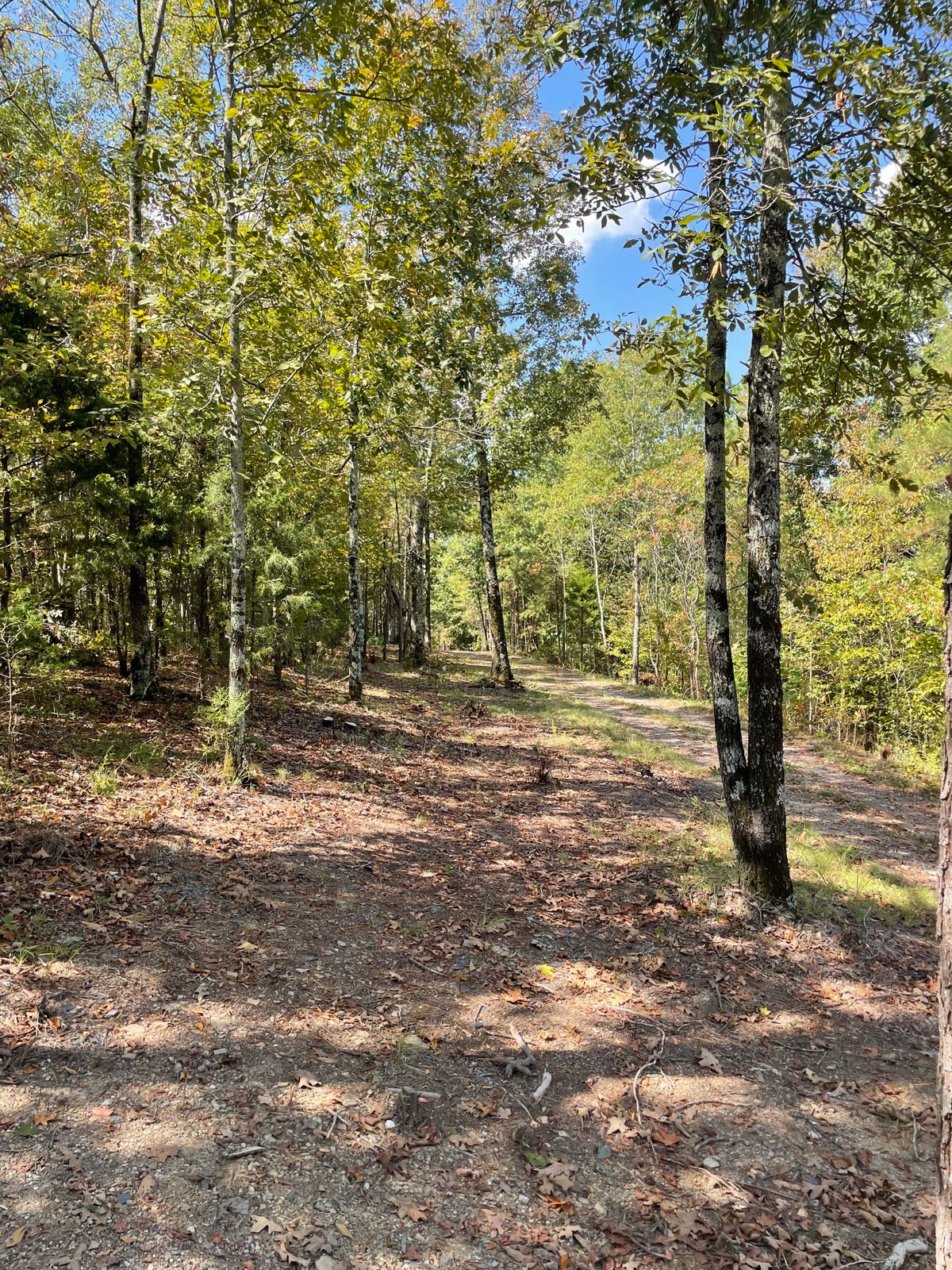 Hole 3