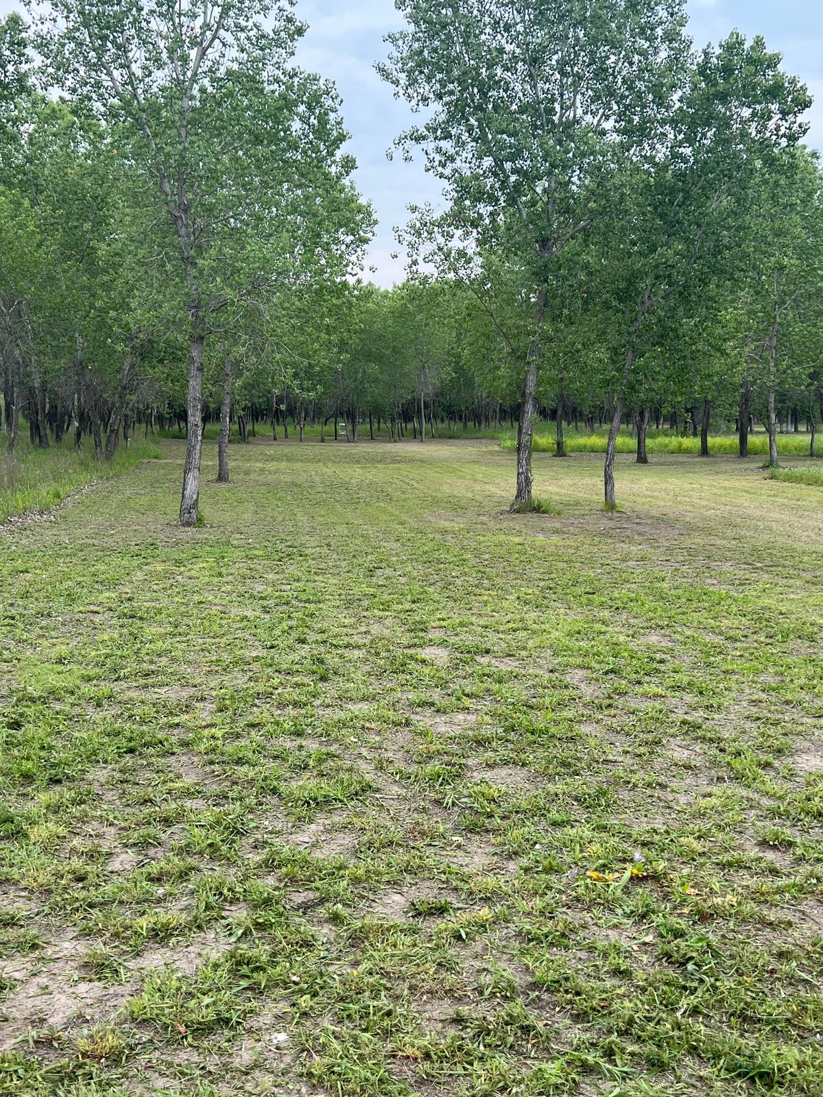 Hole 1